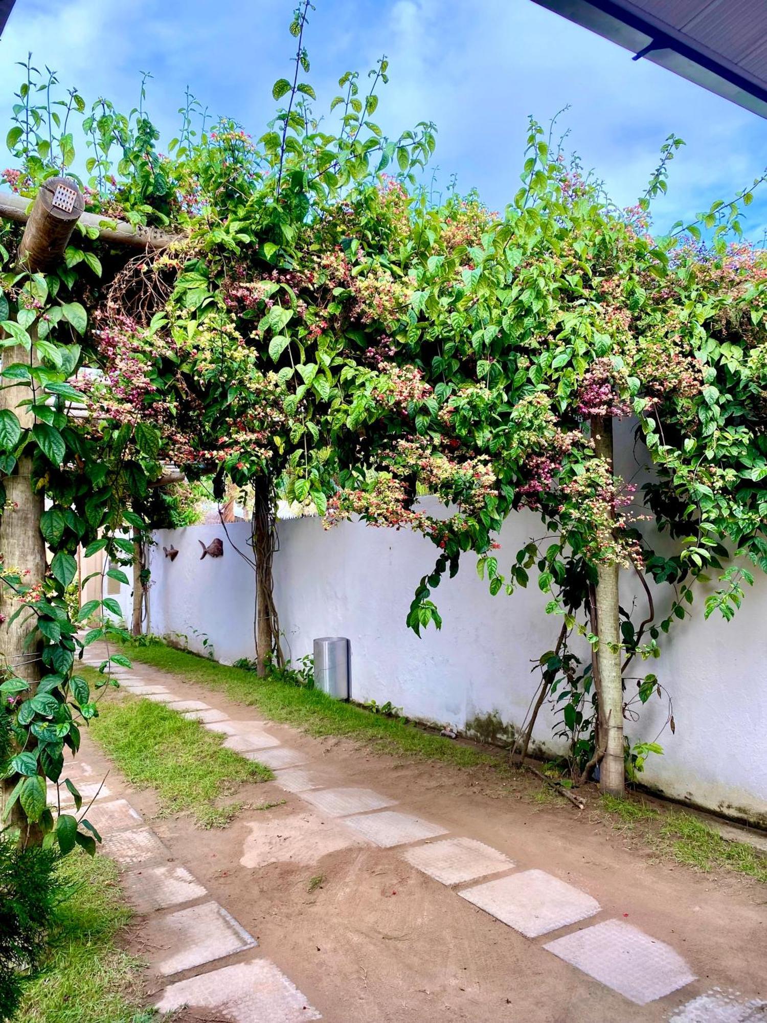 Pousada Paraiso Dos Milagres Sao Miguel dos Milagres Luaran gambar